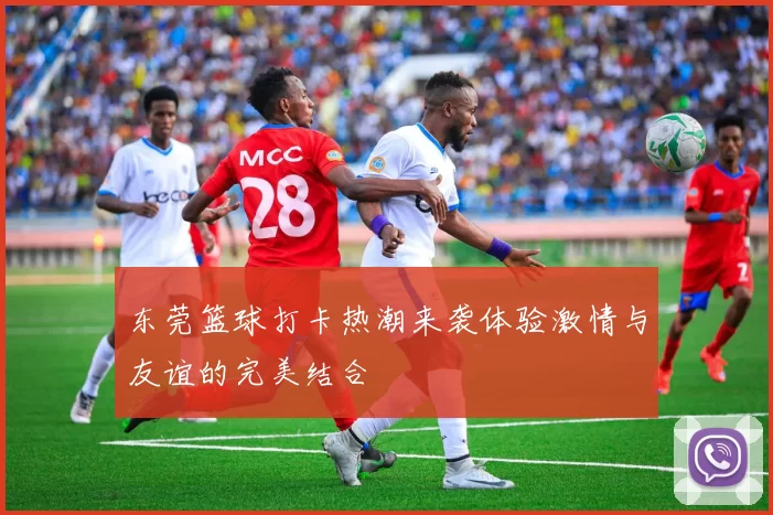 东莞篮球打卡热潮来袭体验激情与友谊的完美结合