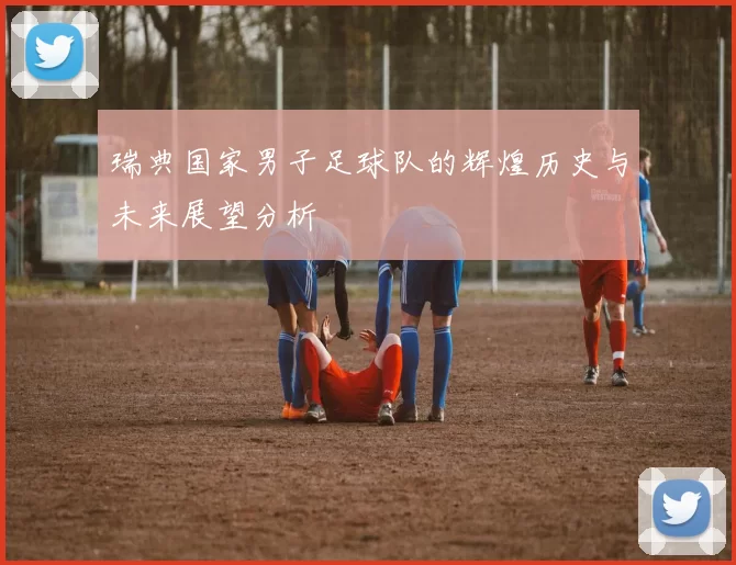 瑞典国家男子足球队的辉煌历史与未来展望分析
